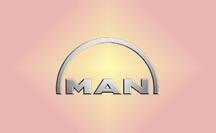 ✓ MAN 51.09413.0003 Запчасти МАН (MAN) 